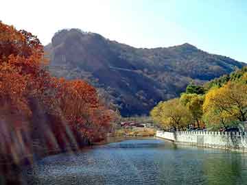 BRIDGE全球路演抵达上海，共探媒体生态发展新路径